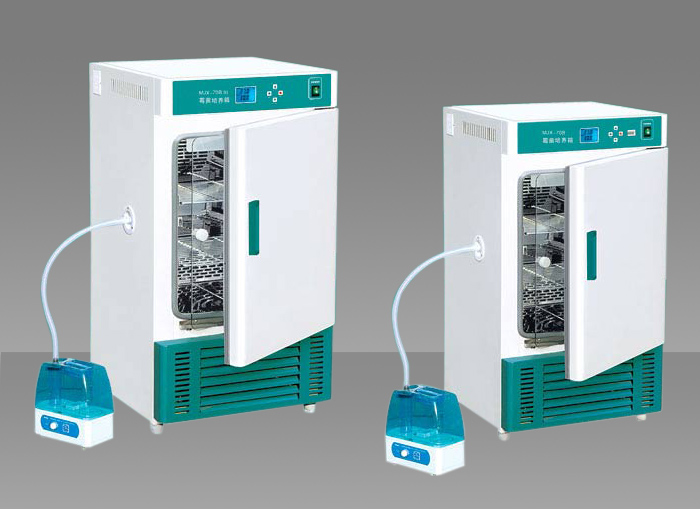 霉菌培養(yǎng)箱
